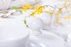 Fiesta 2 5/8 Inch Salt and Pepper Shaker Set